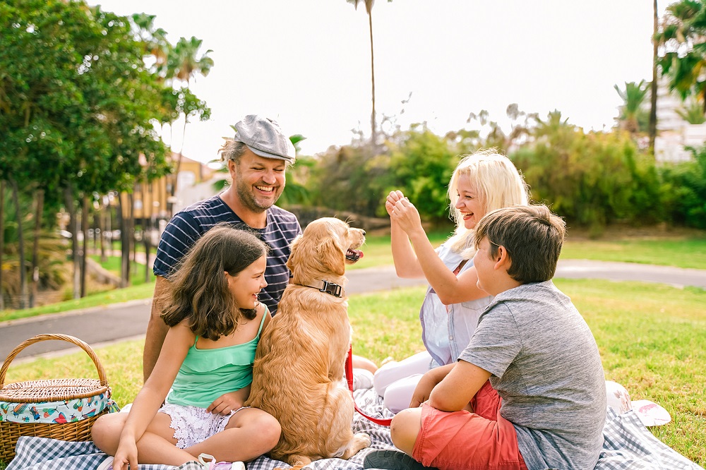 Summer Dental Tips